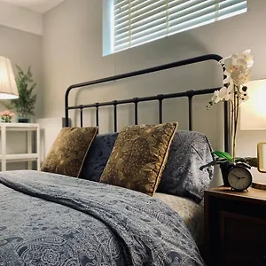 Newly Renovated Elephant Close To Banff And Business Center , Calgary Canada